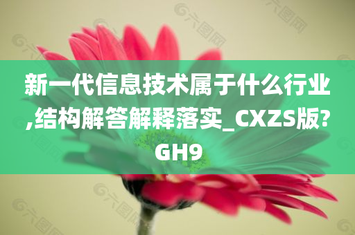 新一代信息技术属于什么行业,结构解答解释落实_CXZS版?GH9