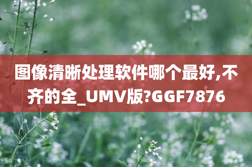 图像清晰处理软件哪个最好,不齐的全_UMV版?GGF7876