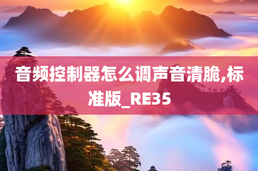 音频控制器怎么调声音清脆,标准版_RE35