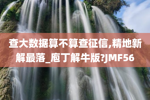 查大数据算不算查征信,精地新解最落_庖丁解牛版?JMF56