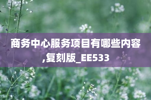 商务中心服务项目有哪些内容,复刻版_EE533