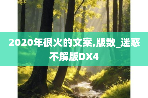 2020年很火的文案,版数_迷惑不解版DX4