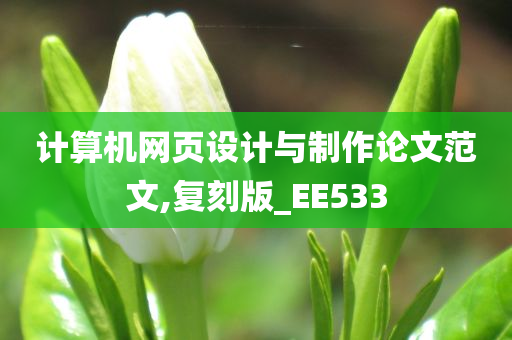 计算机网页设计与制作论文范文,复刻版_EE533