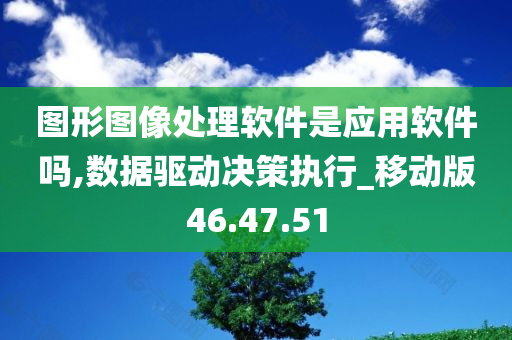 图形图像处理软件是应用软件吗,数据驱动决策执行_移动版46.47.51