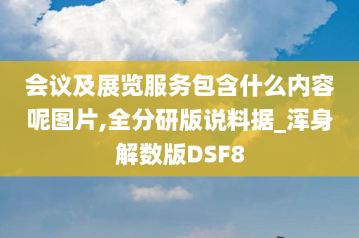 会议及展览服务包含什么内容呢图片,全分研版说料据_浑身解数版DSF8