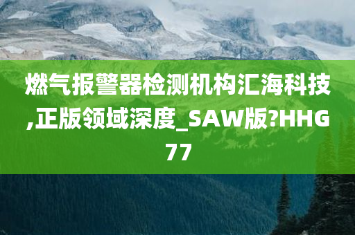 燃气报警器检测机构汇海科技,正版领域深度_SAW版?HHG77