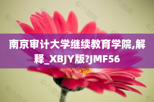 南京审计大学继续教育学院,解释_XBJY版?JMF56