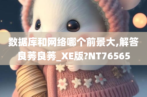 数据库和网络哪个前景大,解答良莠良莠_XE版?NT76565