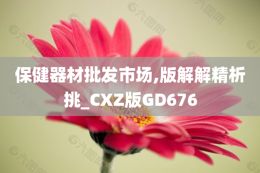 保健器材批发市场,版解解精析挑_CXZ版GD676