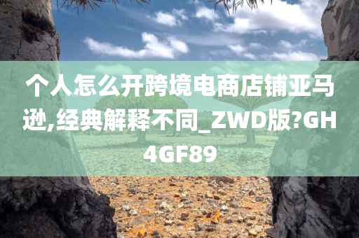 个人怎么开跨境电商店铺亚马逊,经典解释不同_ZWD版?GH4GF89