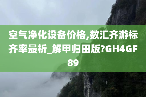 空气净化设备价格,数汇齐游标齐率最析_解甲归田版?GH4GF89