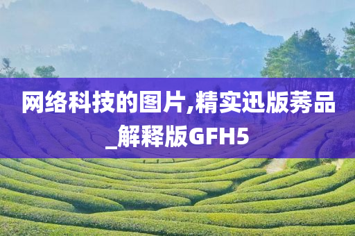 网络科技的图片,精实迅版莠品_解释版GFH5