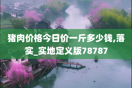 猪肉价格今日价一斤多少钱,落实_实地定义版78787