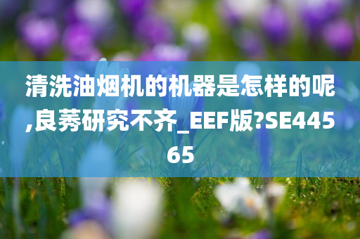 清洗油烟机的机器是怎样的呢,良莠研究不齐_EEF版?SE44565