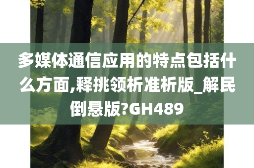 多媒体通信应用的特点包括什么方面,释挑领析准析版_解民倒悬版?GH489