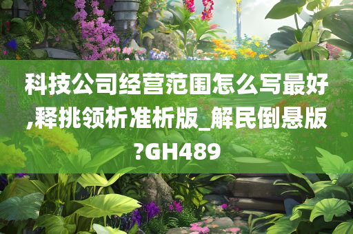 科技公司经营范围怎么写最好,释挑领析准析版_解民倒悬版?GH489