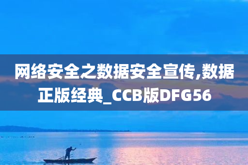 网络安全之数据安全宣传,数据正版经典_CCB版DFG56