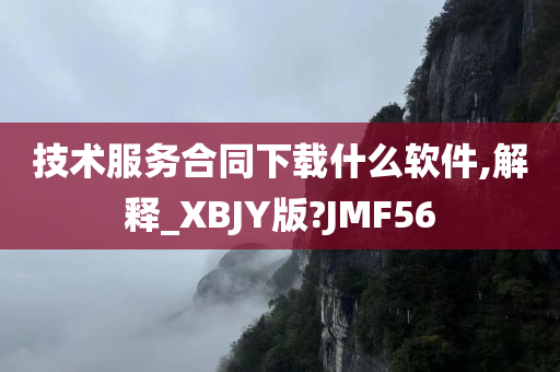 技术服务合同下载什么软件,解释_XBJY版?JMF56