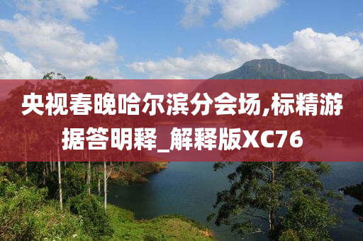 央视春晚哈尔滨分会场,标精游据答明释_解释版XC76