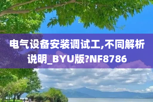 电气设备安装调试工,不同解析说明_BYU版?NF8786