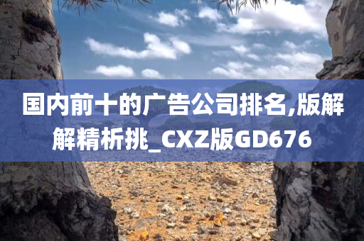 国内前十的广告公司排名,版解解精析挑_CXZ版GD676