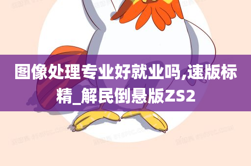 图像处理专业好就业吗,速版标精_解民倒悬版ZS2