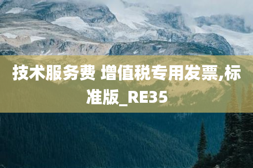 技术服务费 增值税专用发票,标准版_RE35