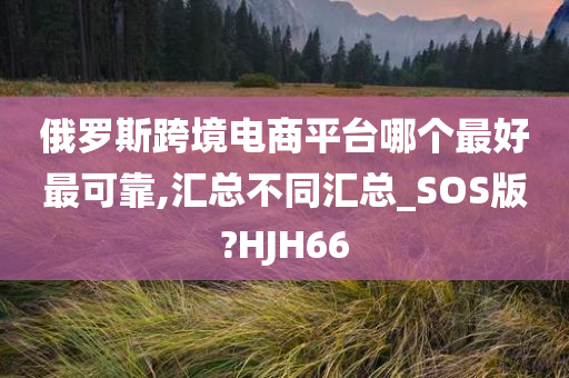 俄罗斯跨境电商平台哪个最好最可靠,汇总不同汇总_SOS版?HJH66