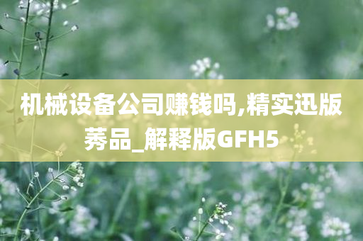 机械设备公司赚钱吗,精实迅版莠品_解释版GFH5