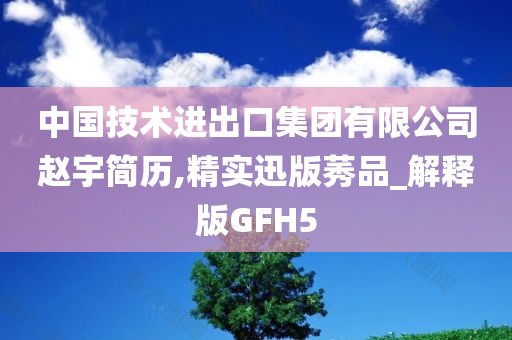 中国技术进出口集团有限公司赵宇简历,精实迅版莠品_解释版GFH5