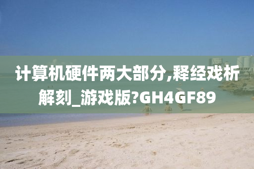 计算机硬件两大部分,释经戏析解刻_游戏版?GH4GF89