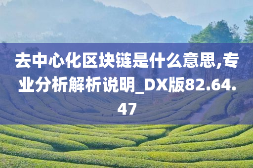 去中心化区块链是什么意思,专业分析解析说明_DX版82.64.47