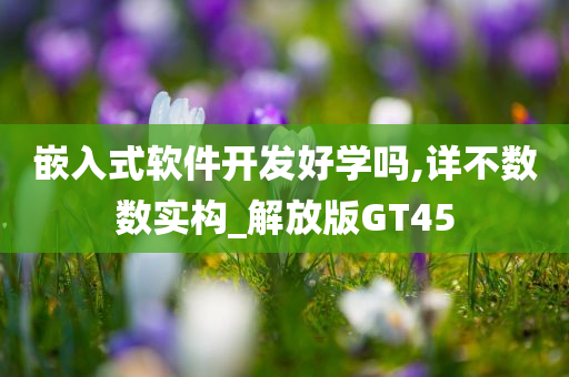 嵌入式软件开发好学吗,详不数数实构_解放版GT45