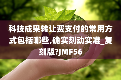 科技成果转让费支付的常用方式包括哪些,确实刻动实准_复刻版?JMF56