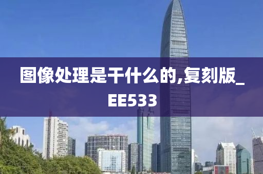 图像处理是干什么的,复刻版_EE533