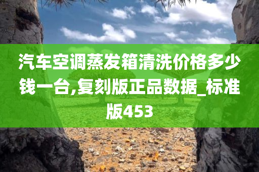 汽车空调蒸发箱清洗价格多少钱一台,复刻版正品数据_标准版453