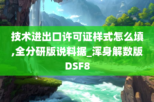 技术进出口许可证样式怎么填,全分研版说料据_浑身解数版DSF8