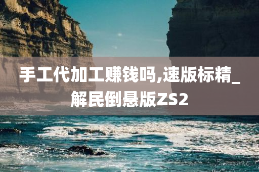 手工代加工赚钱吗,速版标精_解民倒悬版ZS2