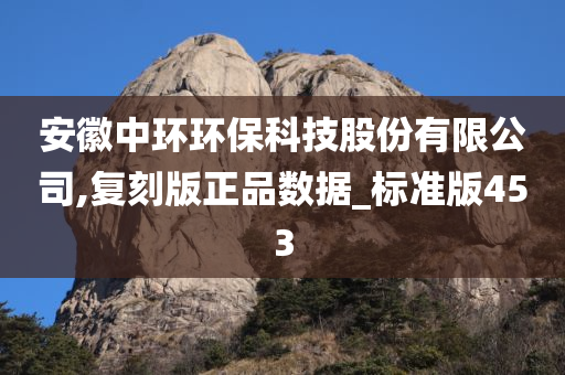 安徽中环环保科技股份有限公司,复刻版正品数据_标准版453