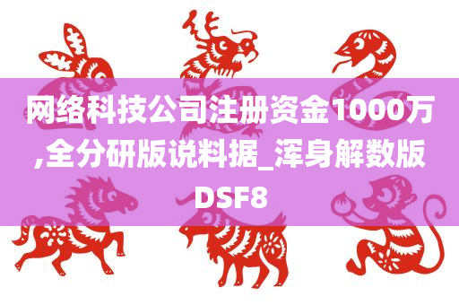 网络科技公司注册资金1000万,全分研版说料据_浑身解数版DSF8