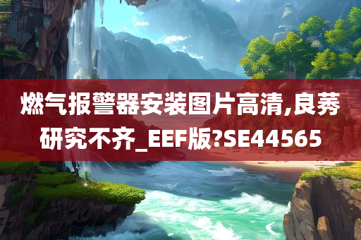 燃气报警器安装图片高清,良莠研究不齐_EEF版?SE44565