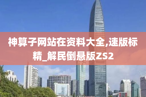 神算子网站在资料大全,速版标精_解民倒悬版ZS2