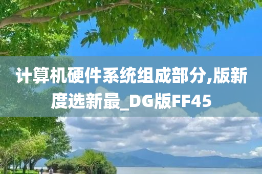 计算机硬件系统组成部分,版新度选新最_DG版FF45