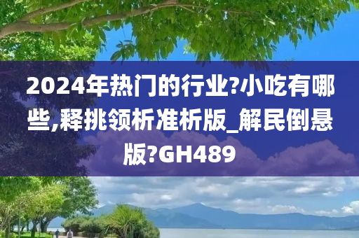 2024年热门的行业?小吃有哪些,释挑领析准析版_解民倒悬版?GH489