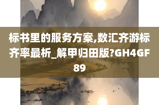 标书里的服务方案,数汇齐游标齐率最析_解甲归田版?GH4GF89