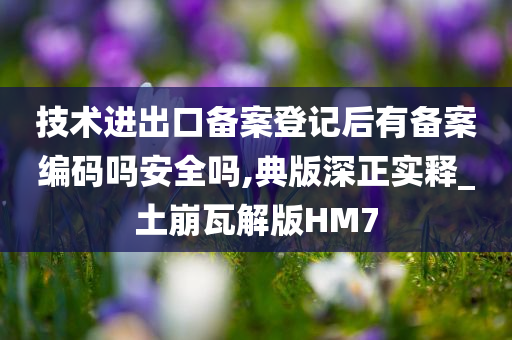 技术进出口备案登记后有备案编码吗安全吗,典版深正实释_土崩瓦解版HM7