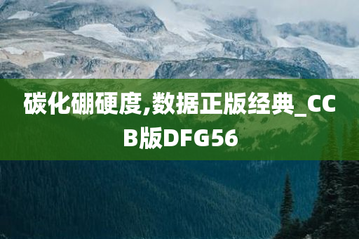 碳化硼硬度,数据正版经典_CCB版DFG56