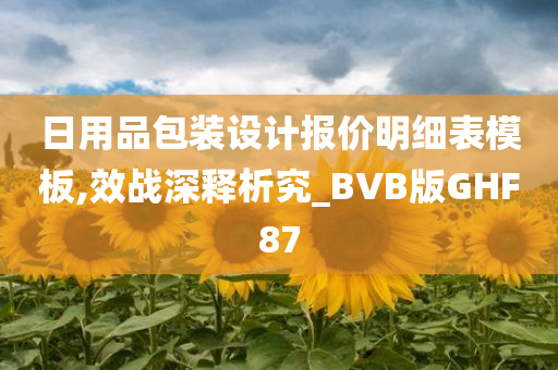 日用品包装设计报价明细表模板,效战深释析究_BVB版GHF87