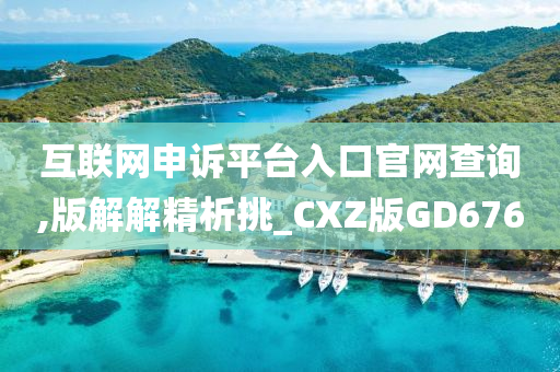 互联网申诉平台入口官网查询,版解解精析挑_CXZ版GD676