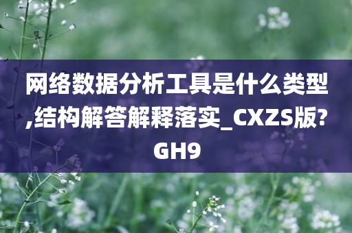 网络数据分析工具是什么类型,结构解答解释落实_CXZS版?GH9